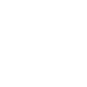 Wizer