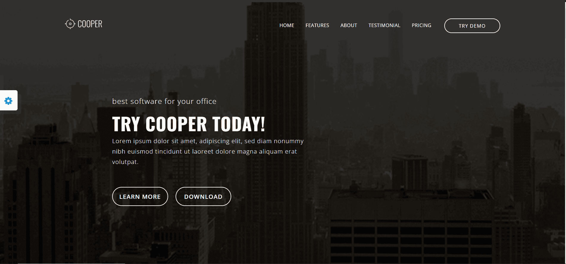WordPress Custome Website by kamil khan